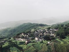 -桑洲油菜花景区