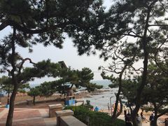 -青岛第二海水浴场