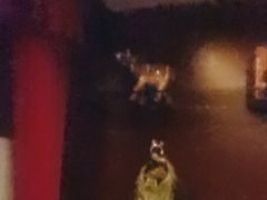 -鸿远足浴·按摩养生SPA旗舰店