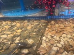 -一方渔歌蒸汽海鲜自助(文化路万达广场店)