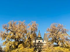 -北京石刻艺术博物馆(五塔寺)