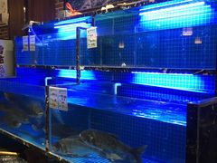水产区-姜君·千岛湖鱼头馆(浦东大道店)