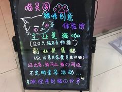 -三花喵·撸猫购宠·宠物生活馆(虹桥南丰城店)