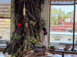 -花间禅净·瑜伽