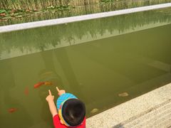 -红莲湖