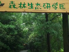 -东平国家森林公园