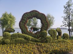 -武清南湖绿博园