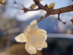 -中国中医科学院西苑医院(本部)