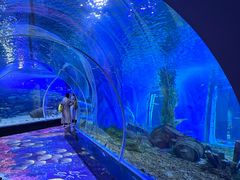 -顺德南宏海立方海洋公园