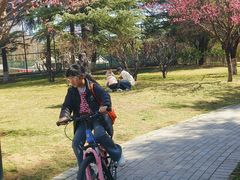 -城市运动公园(未央区)