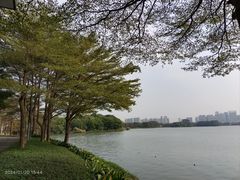 -顺峰山公园