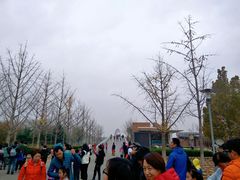 -大兴滨河森林公园