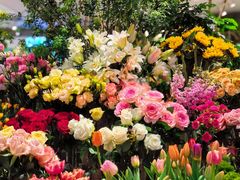 -凯德广场(学府店)