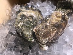法国吉拉多生蚝刺身-囧吉香生蚝牛排馆(湖北路店)
