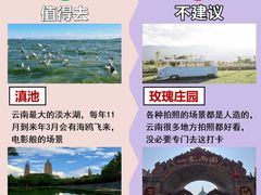 -崇圣寺三塔文化旅游区