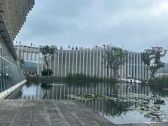 -中国宣纸文化园