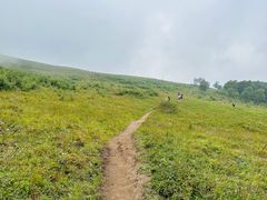 -灵山