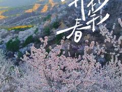 -北京凤凰岭