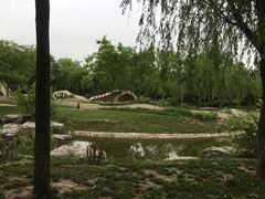 -武清南湖绿博园