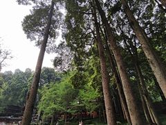 -青城山
