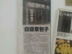 -马大刚白记包子