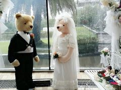 android_upload_pic-济州岛泰迪熊博物馆