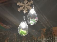 -又一福烤鸭·北京菜(东四店)