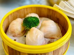 水晶鲜虾饺-香云轩·顺德菜(香云纱园林酒店店)