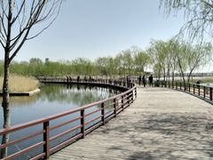 -绿堤公园