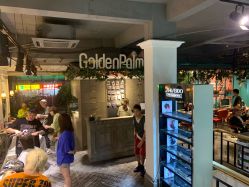 点击看大图 -金棕榈