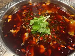 -贡椒鱼老店·雅安十大名店