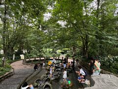 -成都市活水公园