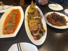 -老牌坊鲁菜名店(聊城美食岛店)