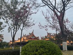 -仙岳公园