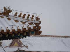 -故宫博物院(故宫)