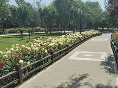 -西海子公园