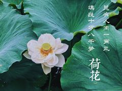 -莲池书院博物馆