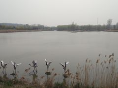 -淇河国家湿地公园