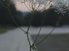 -五营国家森林公园