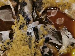 -雅和生态渔庄·宜城锅巴饭(龙灵山公园店)