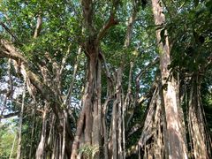 -孔雀湖生态旅游区