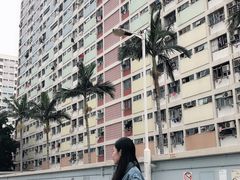 -彩虹村