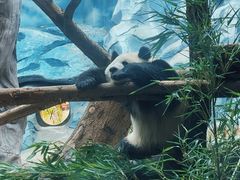 -乐和乐都主题乐园