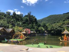 -西双版纳原始森林公园