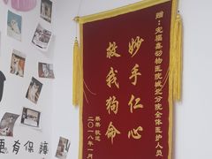 -宠福鑫动物医院(城北分院)