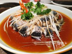 -笨笨甲甲鱼坊(蓝堡湾店)