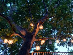 -Ginger(兴国路店)