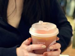 -gaga(深圳南山益田假日广场店)