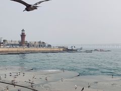 -星海广场