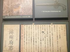 -广西壮族自治区博物馆